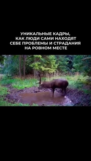 @vkino_real - названия доступны только подписчикам (подпишись и смотри лучшие фильмы и сериалы)