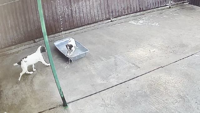 Водные процедуры.