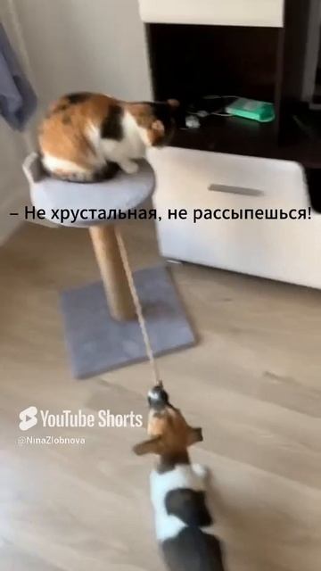 Врагу не сдаётся наш гордый Варяг!