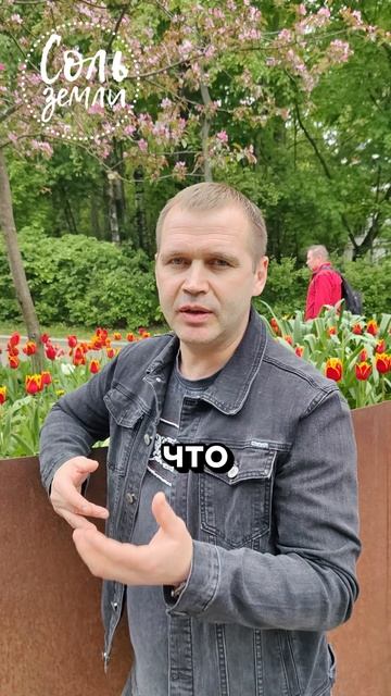 Просто люби