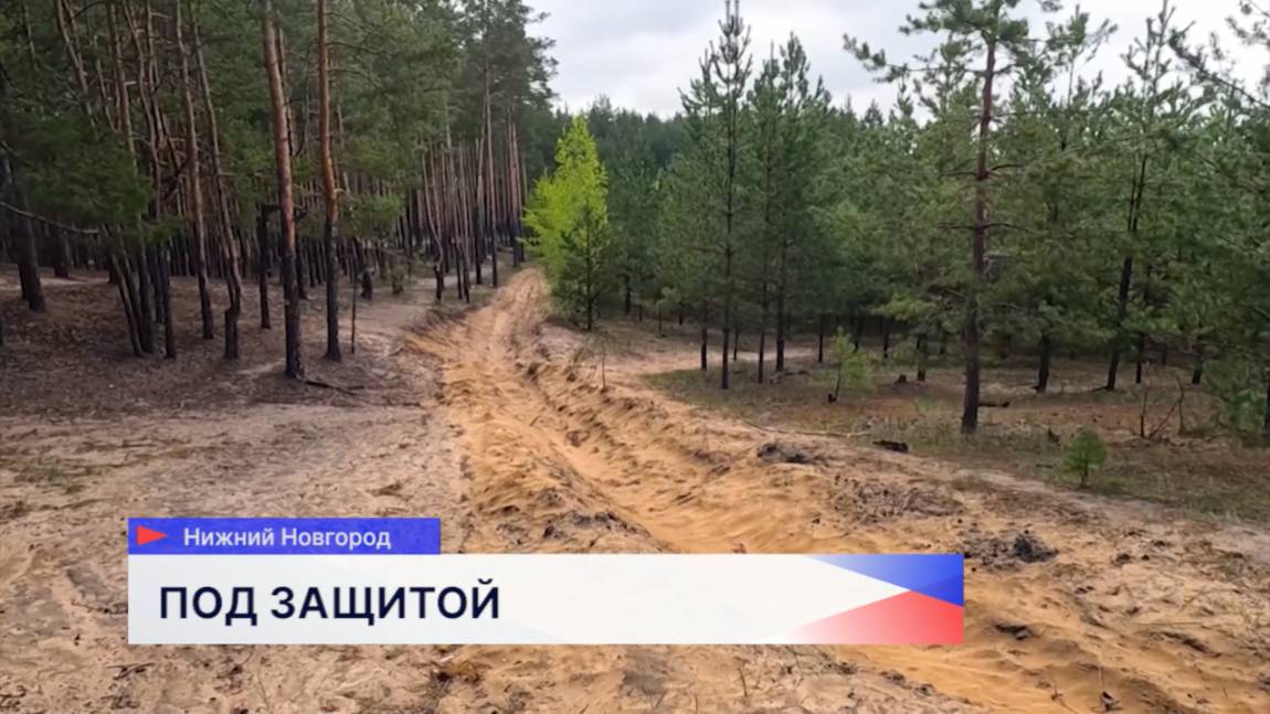 В Нижнем Новгороде продолжает действовать особый противопожарный режим