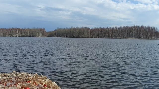 Закрытие охоты "весна 2025"