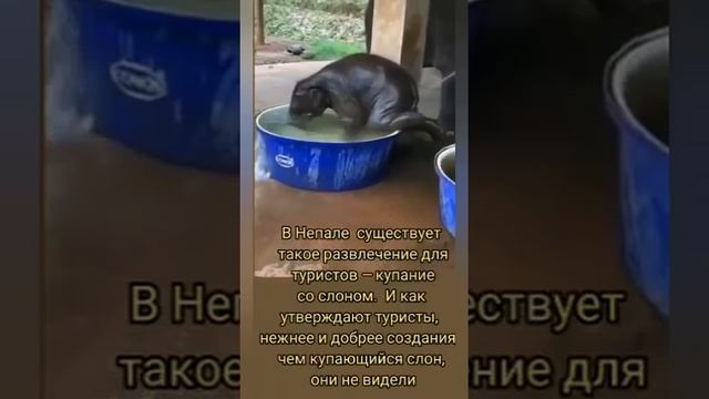 VID_20250523_143503_712.mp4