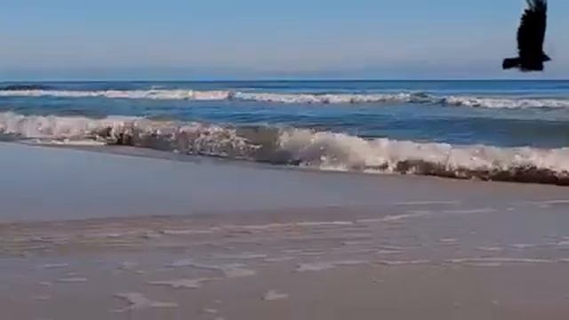 Нежноя  музыку