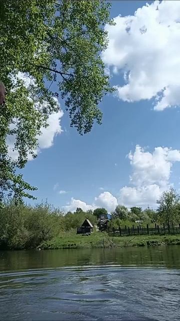 заплыв 4