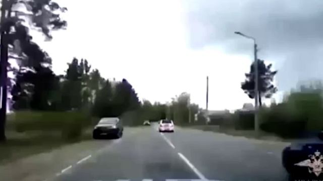 Во Владимирской области полицейские остановили стрельбой пьяного водителя