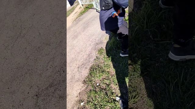 СЛЕЖКА
