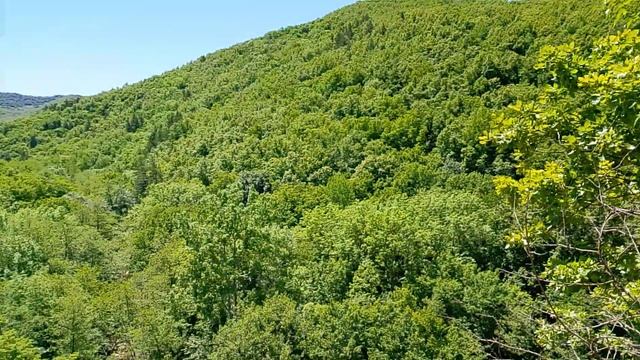 Дорога на гору Папай 2025
