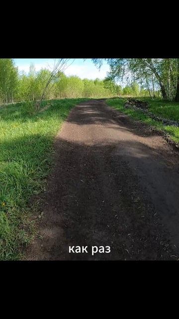 Бегу значить ещё жив.