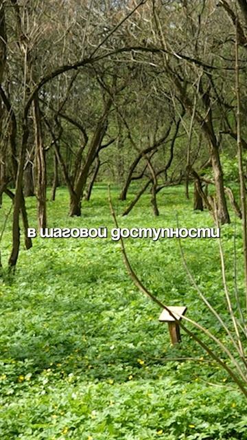 ЖК Аквилон ⬇️🫣 📍