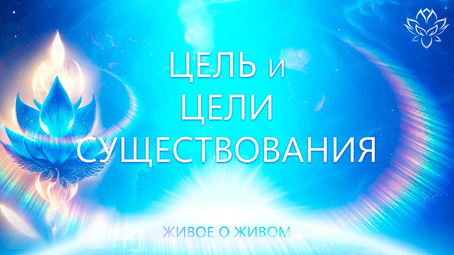 Цель и Цели жизни