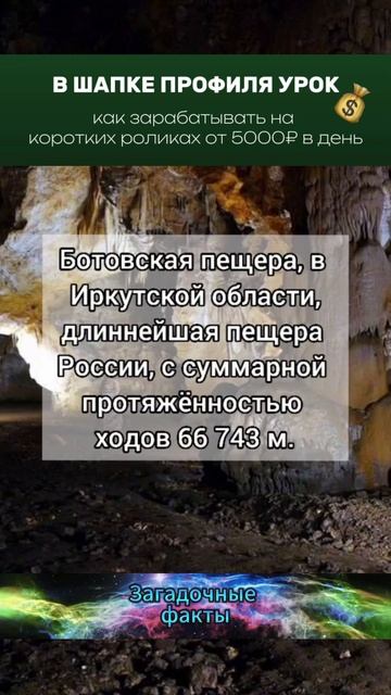 факт (10)