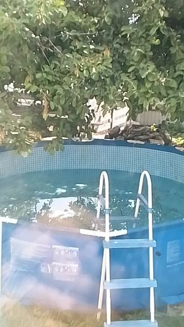 VID_20250523_114109.mp4