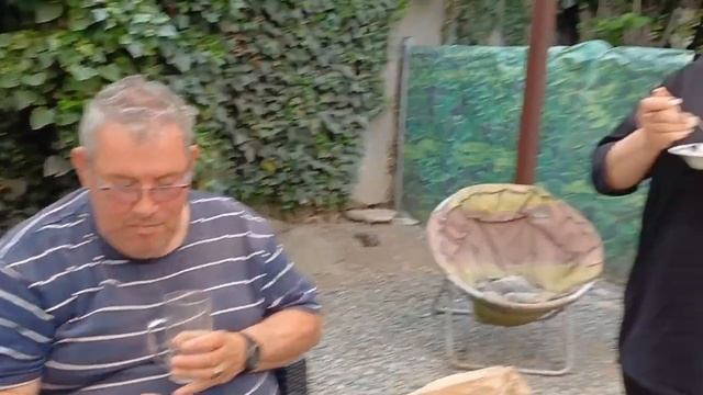 Этуаль бультерьер Кастропуло 8 лет с днём рождения пит