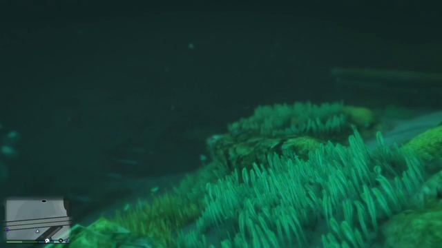 подводный мир GTAV #2