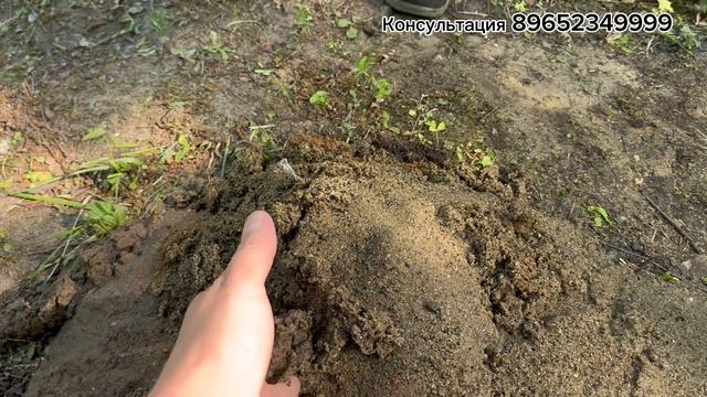 Абиссинская скважина 5 метров в Раменском Молебельный дом