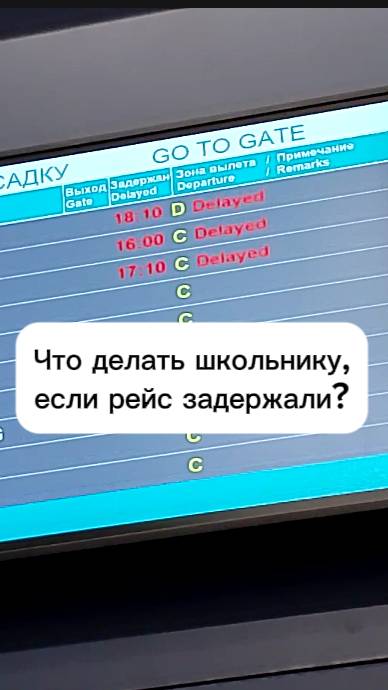 Что делать школьнику, если рейс задержали