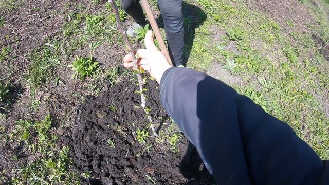 ЗАБРОШЕННЫЙ ДОМ:ДЕЛАЕМ НЕОБЫЧНЫЙ,БЮДЖЕТНЫЙ ПОЛ  #8