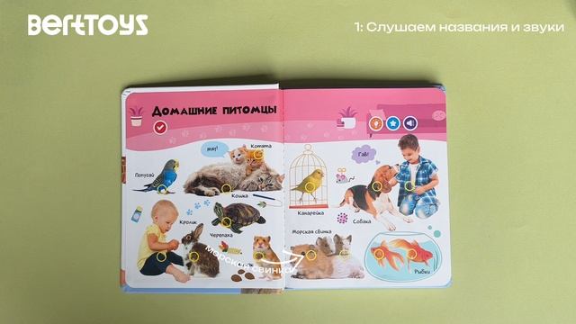 Инструкция. Нажималка «Животные» BertToys