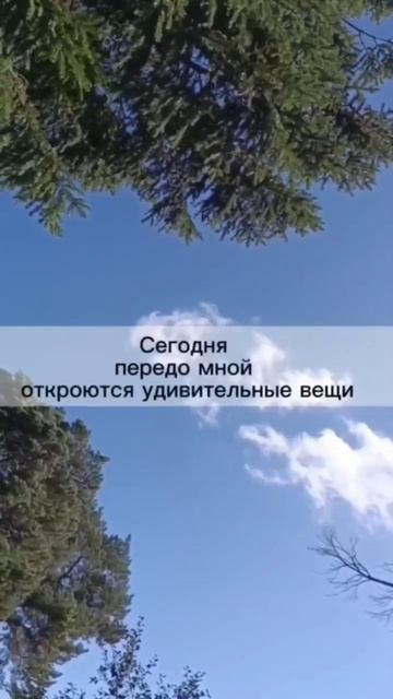 Аффирмация от Елены Ландочкиной - Благодарность новому дню #Аффирмации # ЛичностныйРост #Здоровье