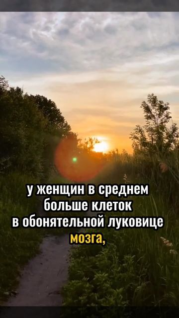 Психологические факты про женщин