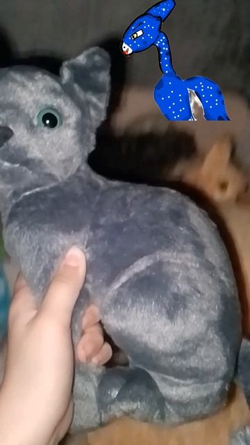 Миса немного новова