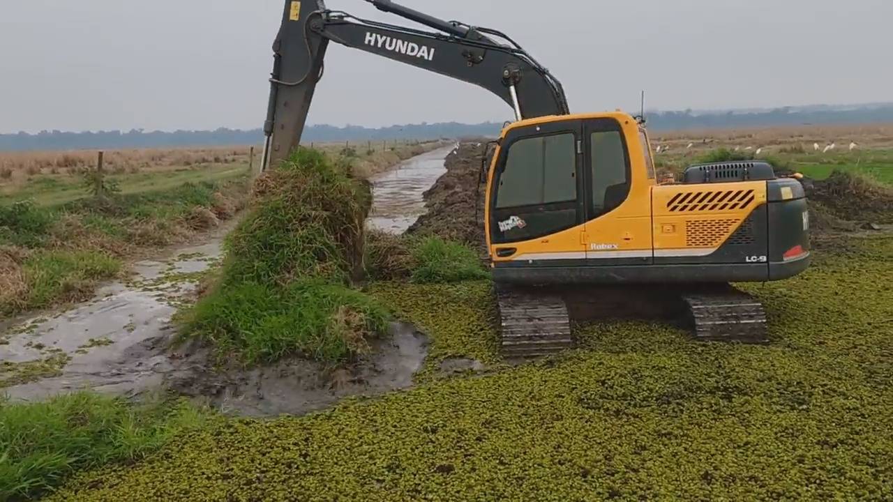ЭКСКАВАТОР ЧИСТИТ ПРУД!