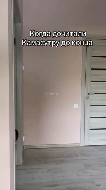 Когда дочитали камасутру до конца