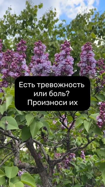 ЛУЧШАЯ практика исцеления! #женскиепрактики #женскаяэнергия #силасознания