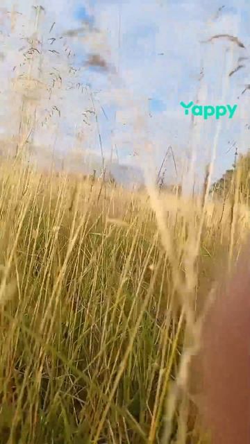 ПРИРОДА ДАЕТ СИЛЫ