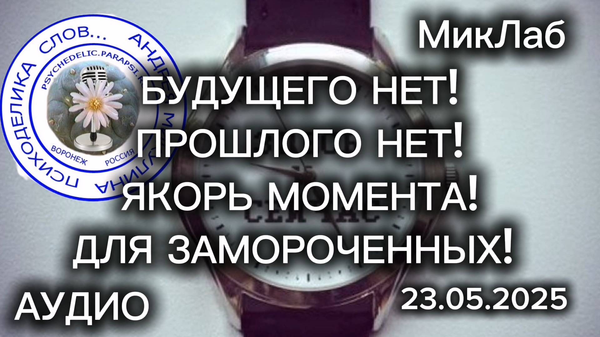 Будущего Нет! Прошлого Нет! Якорь Момента! Для ЗАМОРОЧЕННЫХ! Психоделика Слов Прямой Эфир Микулина