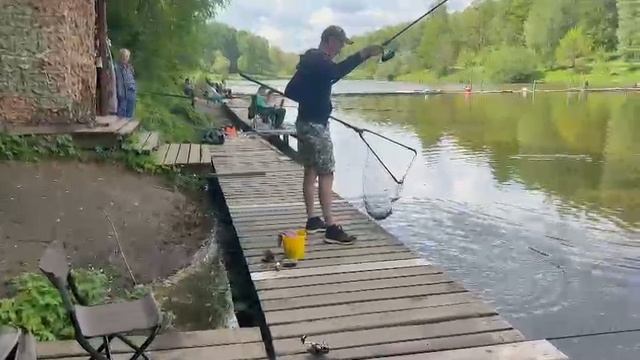 Осетр попер