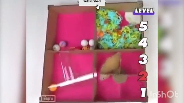 Самодельный многоуровневый лабиринт для хомячка🐹🐹🐹