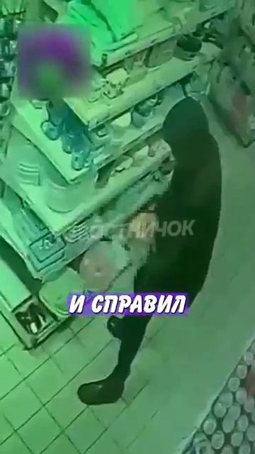Новостничок (510)