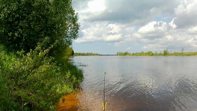 Первая рыбалка в этом сезоне на Луге