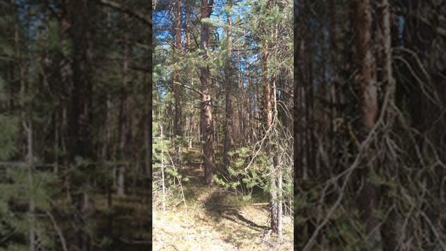 №81 Гармонизация потоков общее