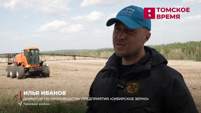 Томские аграрии начали высаживать овощи