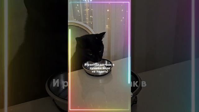 😺