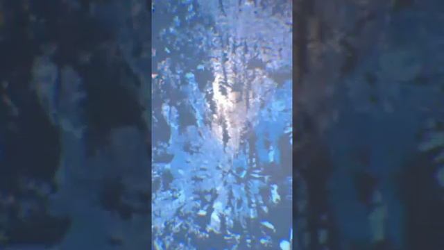 Вуерлистика - Сестра