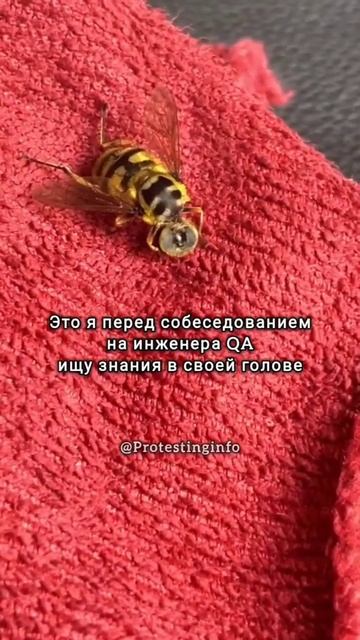Больше знаний про #тестированиепо на канале 
https://t.me/protestinginfo