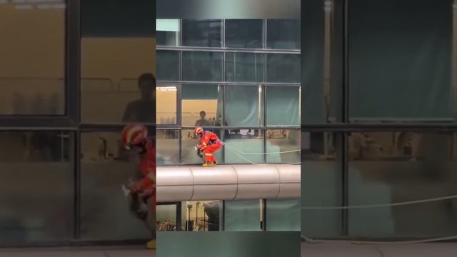Бесстрашные пушистики