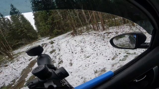 Альфа доберман,испытания на кучност.6.0-7.0м