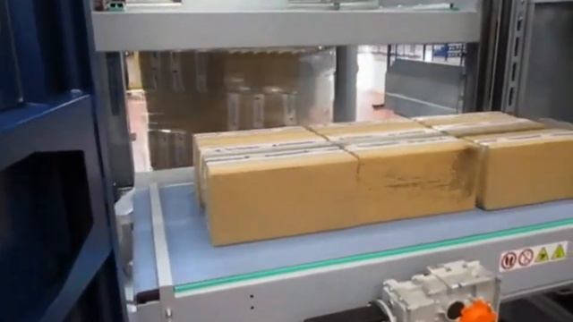 Послойный паллетизатор для автоматической укладки на паллеты со встроенным обмотчиком