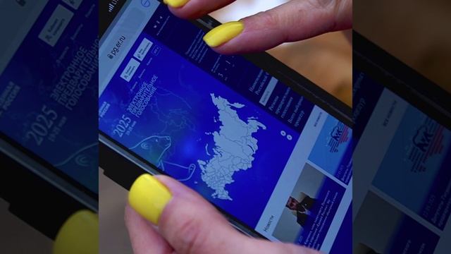 Предварительное голосование 2025