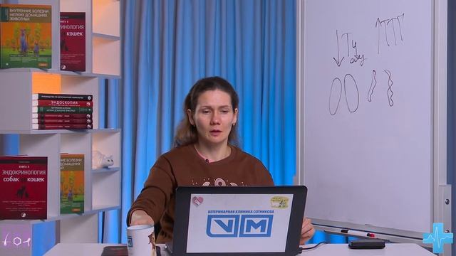 Ответы на вопросы. Выпуск от 1.03.2025