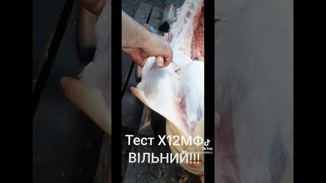 Тест кованого ножа Х12МФ
