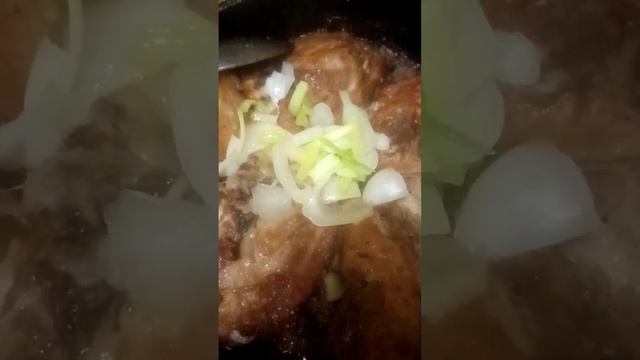 жареное мясо! похоже на шашлык! Покровск, Украина 2024