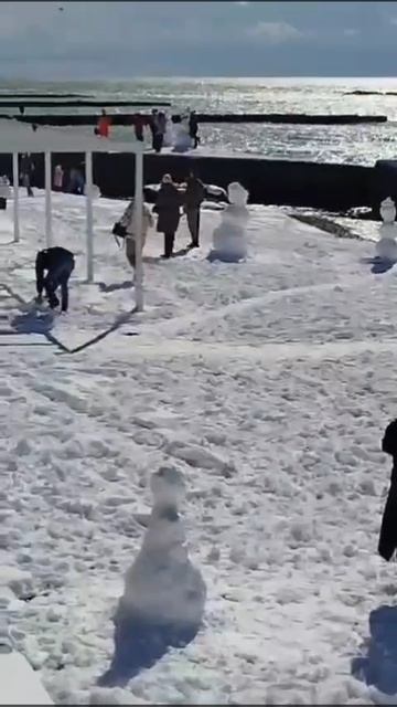 Морж
