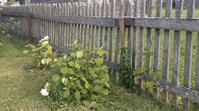 В день Строителей надо косить участок,12.08.23