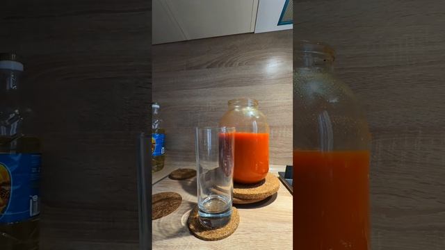 Утро :) завтрак , чихуахуа